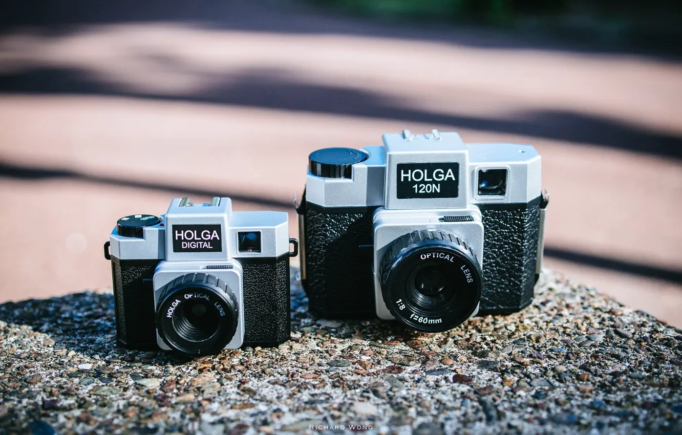 Photo wallpaper background, camera, Holga Digital, Holga 120N