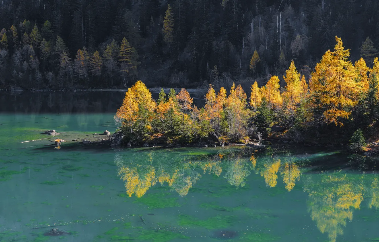 Photo wallpaper autumn, forest, trees, lake, island, slope