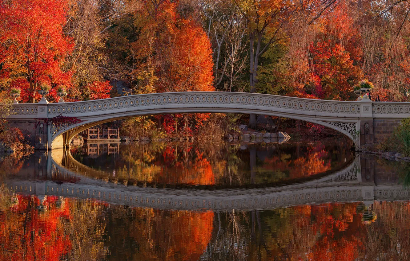 Photo wallpaper photo, Nature, Reflection, New York, Bridge, Autumn, Trees, River