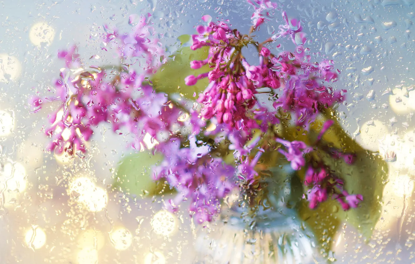 Photo wallpaper glass, drops, light, flowers, rain, bouquet, blur, spring