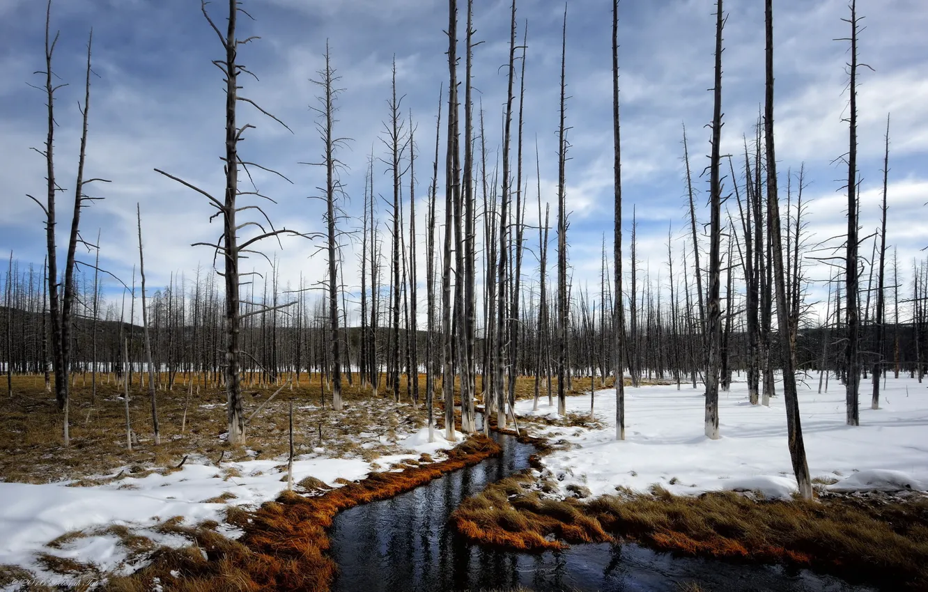Photo wallpaper landscape, winter, Yellowstone Ntl Park