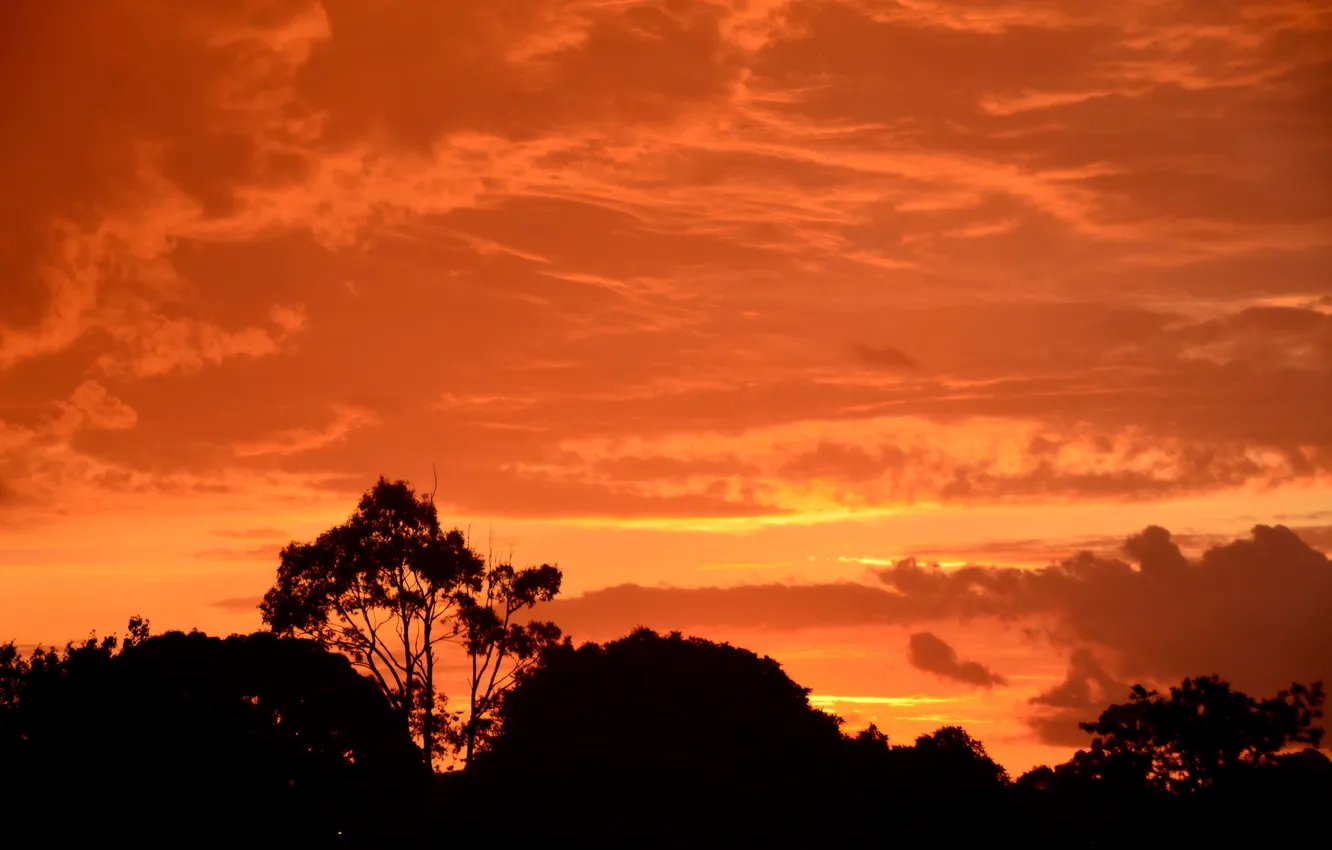 Photo wallpaper the sky, clouds, sunset, silhouette