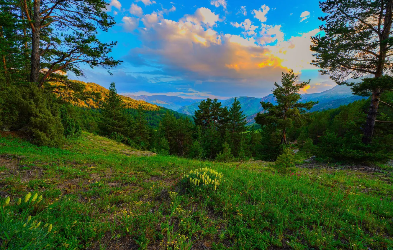 Photo wallpaper the sky, trees, mountains, nature
