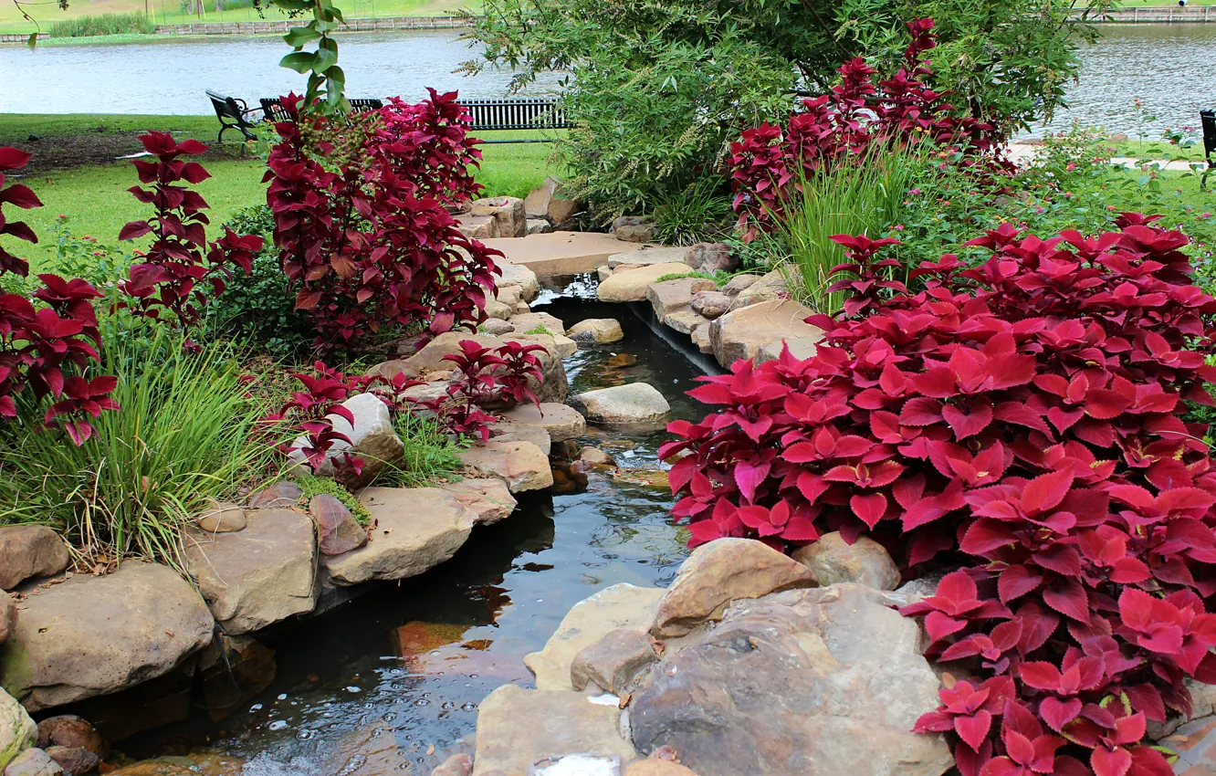 Photo wallpaper Nature, Garden, Park, Nature, Park, Natchitoches garden