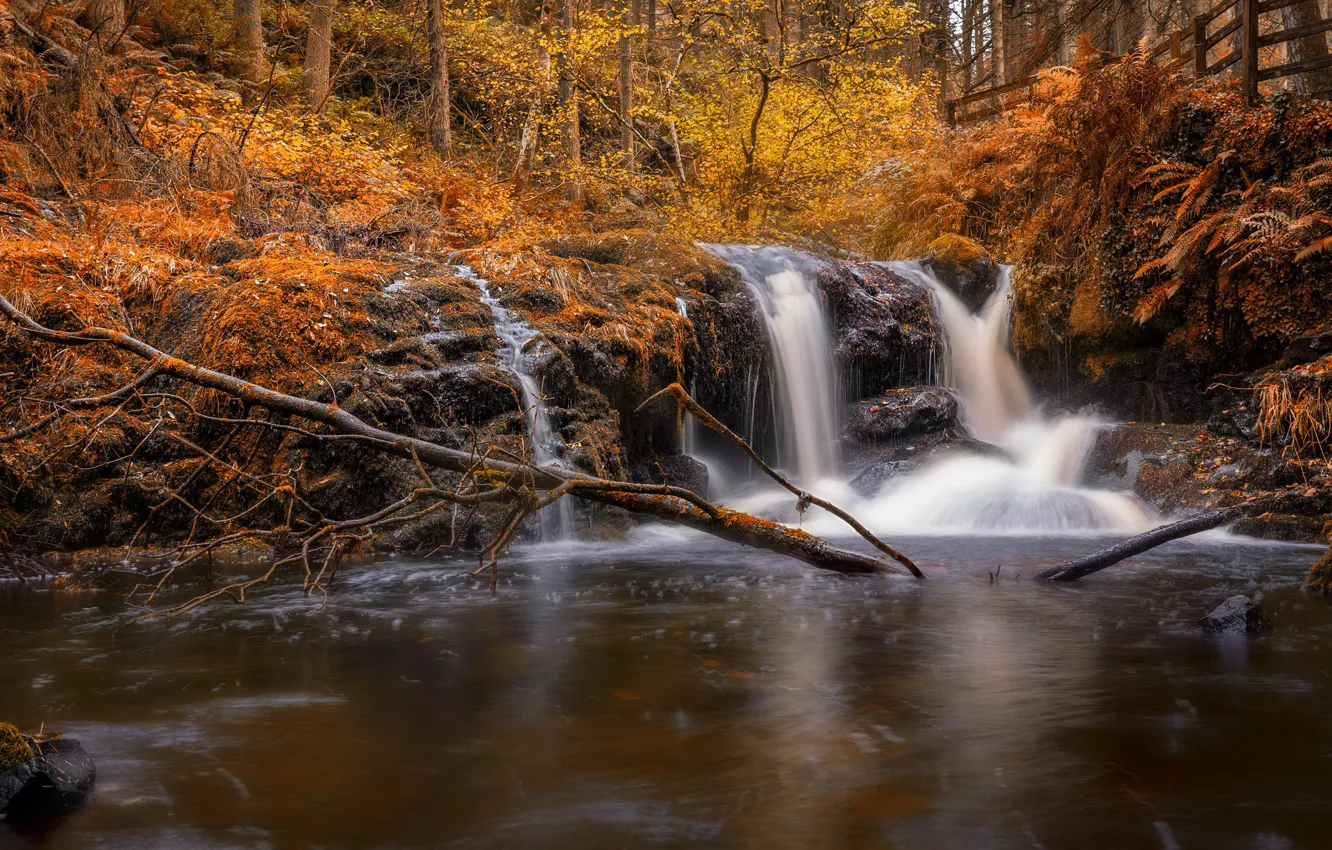 Photo wallpaper autumn, forest, waterfall, river