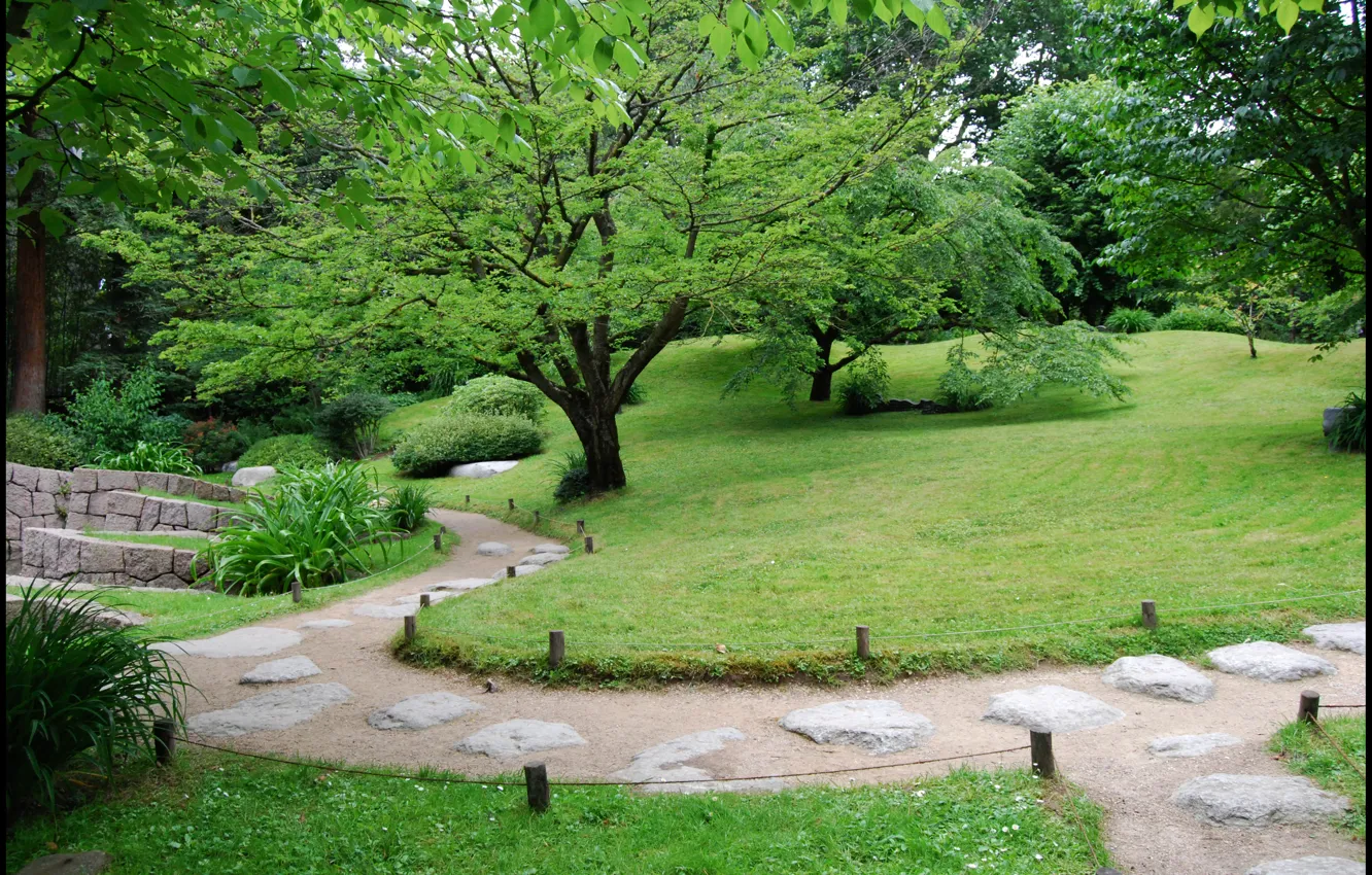 Photo wallpaper trees, Park, green, the bushes, garden, the plants