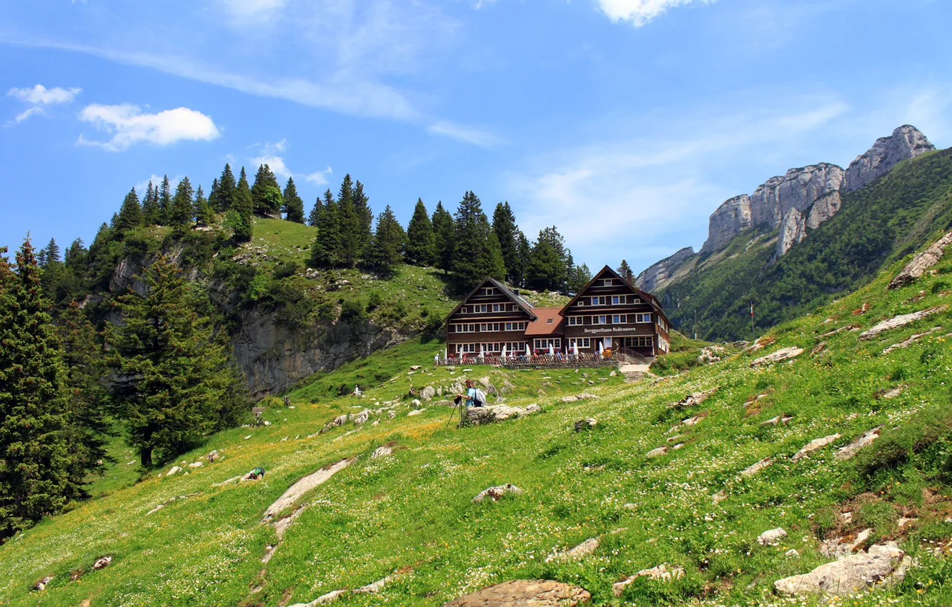 Photo wallpaper forest, the sky, grass, clouds, trees, mountains, stones, home