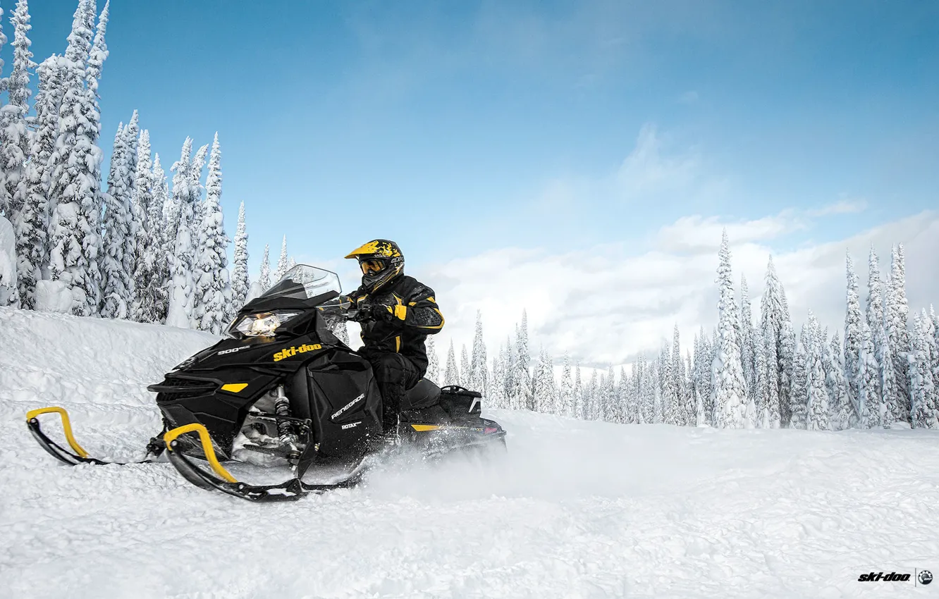Photo wallpaper forest, the sky, snow, trees, black, snowmobile, snowmobile, ski-doo