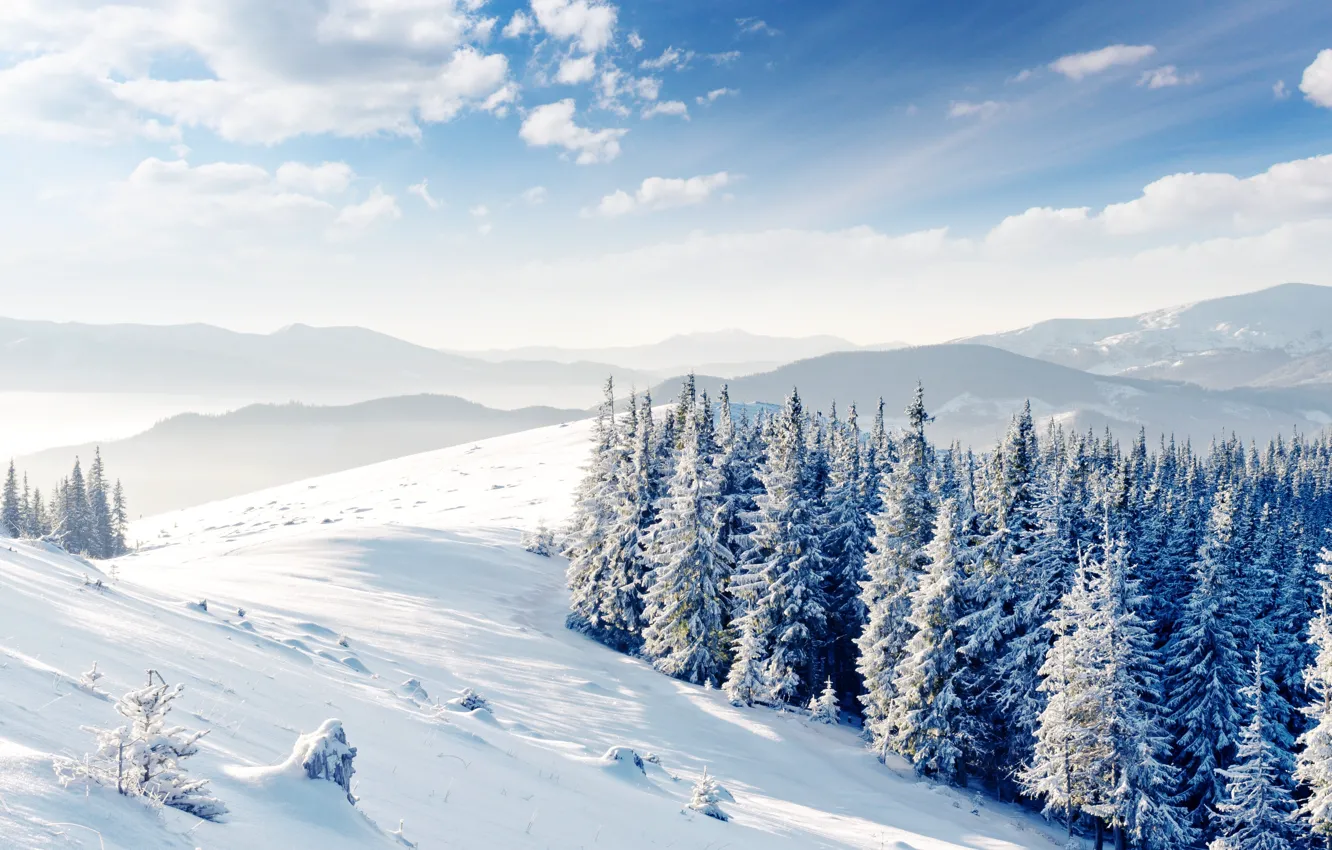 Photo wallpaper winter, clouds, snow, tree, hills