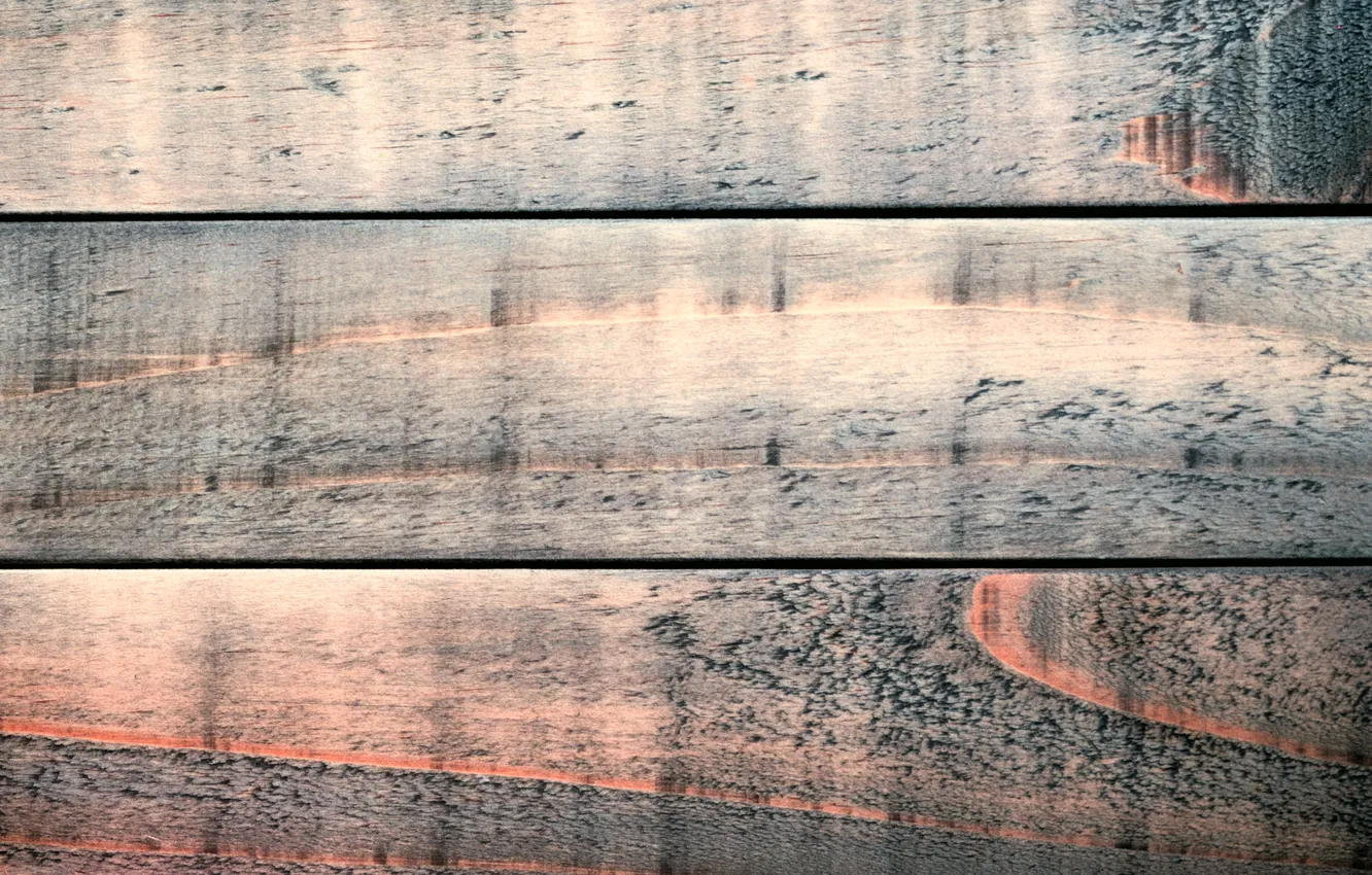 Photo wallpaper color, wood, texture