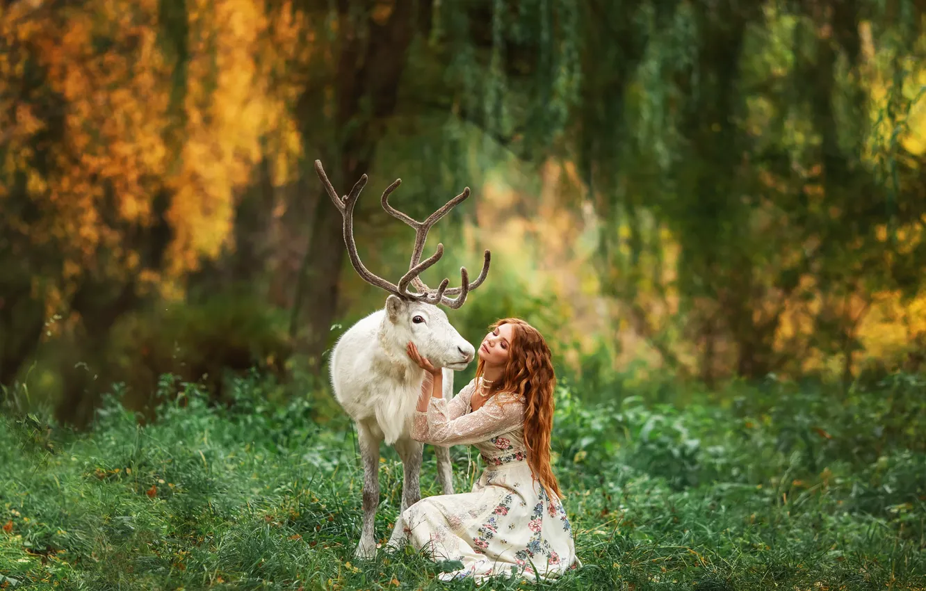 Photo wallpaper forest, girl, nature, animal, deer, red, Anastasia Barmina