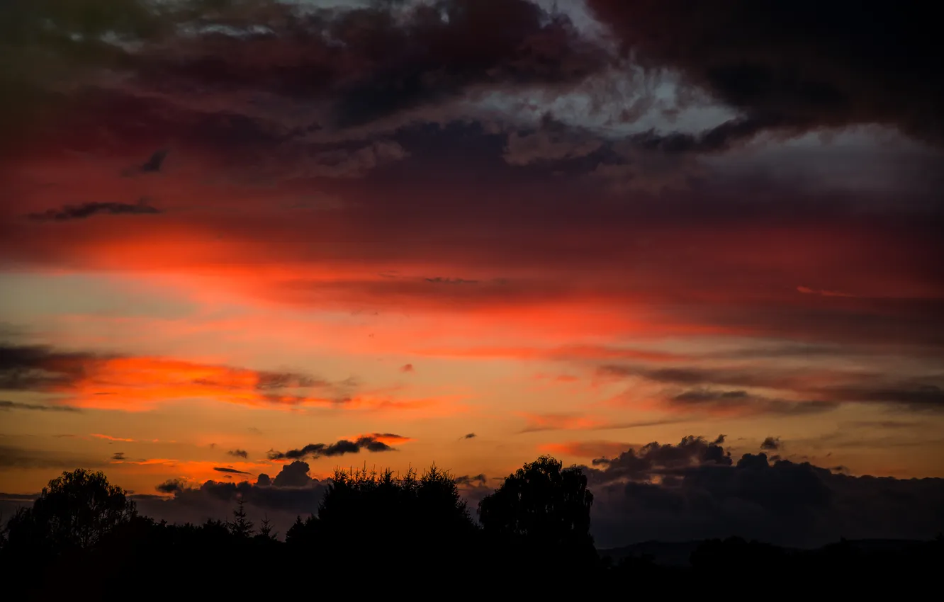 Photo wallpaper the sky, sunset, nature