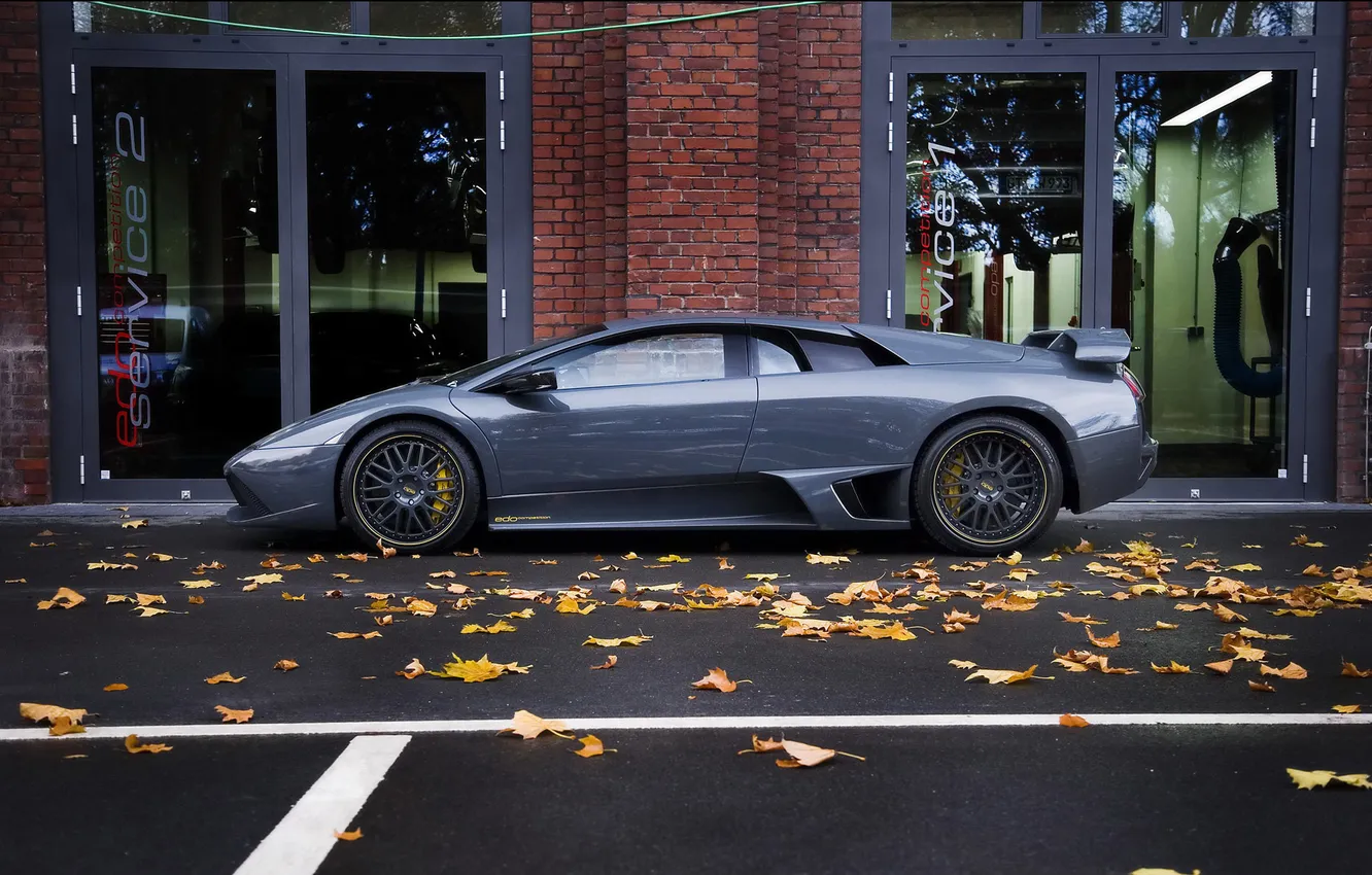 Photo wallpaper road, leaves, grey, view, color, bokeh