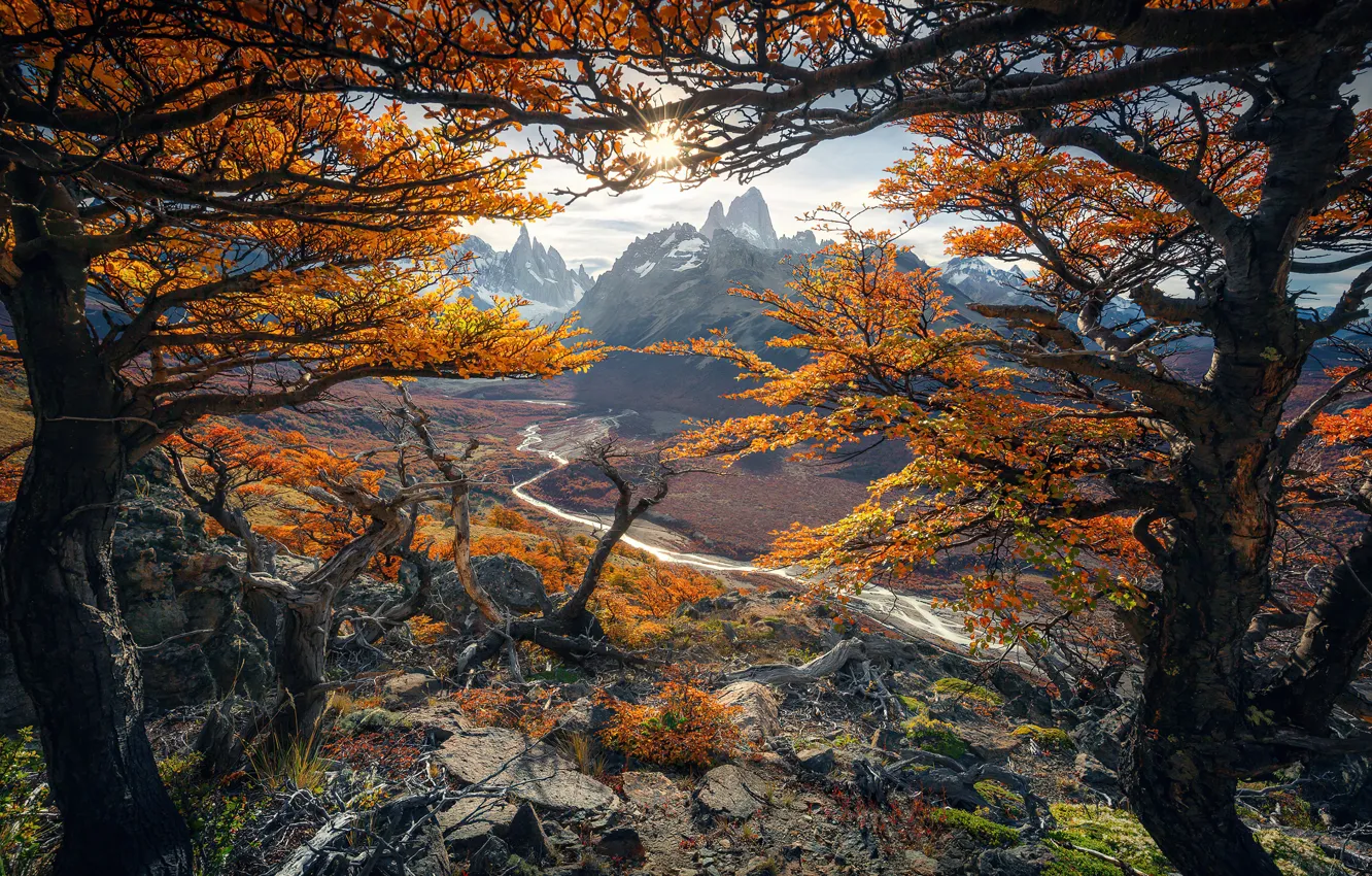 Photo wallpaper autumn, trees, nature, beautiful, autumn, colours, Patagonia, Patagonia