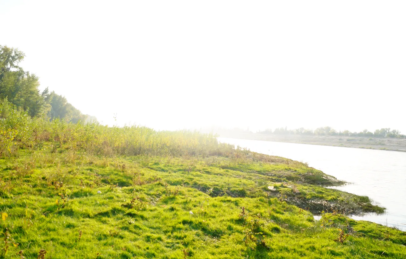 Photo wallpaper sand, beach, grass, water, the sun, macro, nature, Rosa