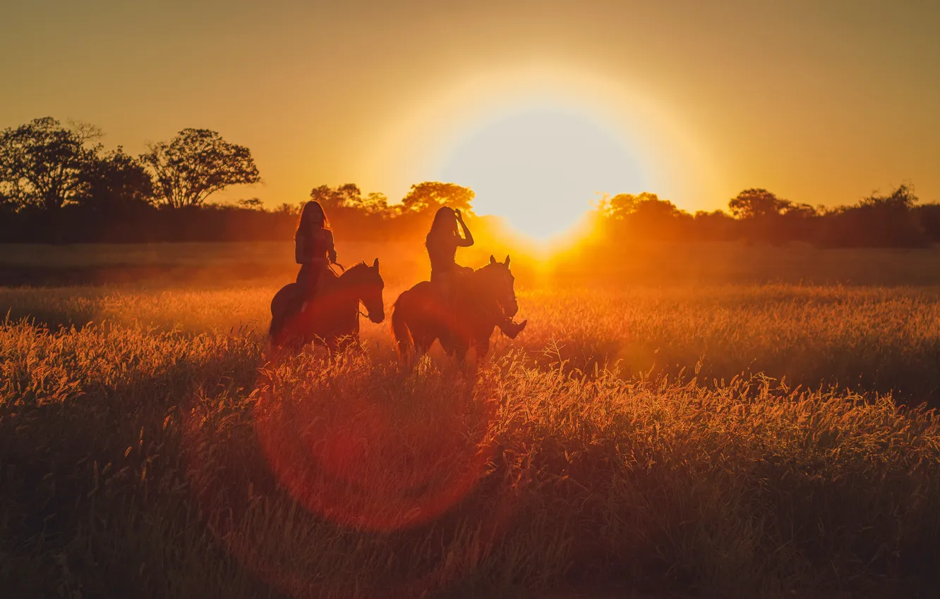 Photo wallpaper girl, the sun, rays, light, nature, horse
