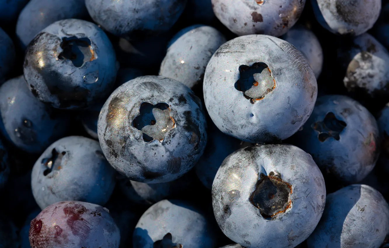 Photo wallpaper berries, food, large, blueberries