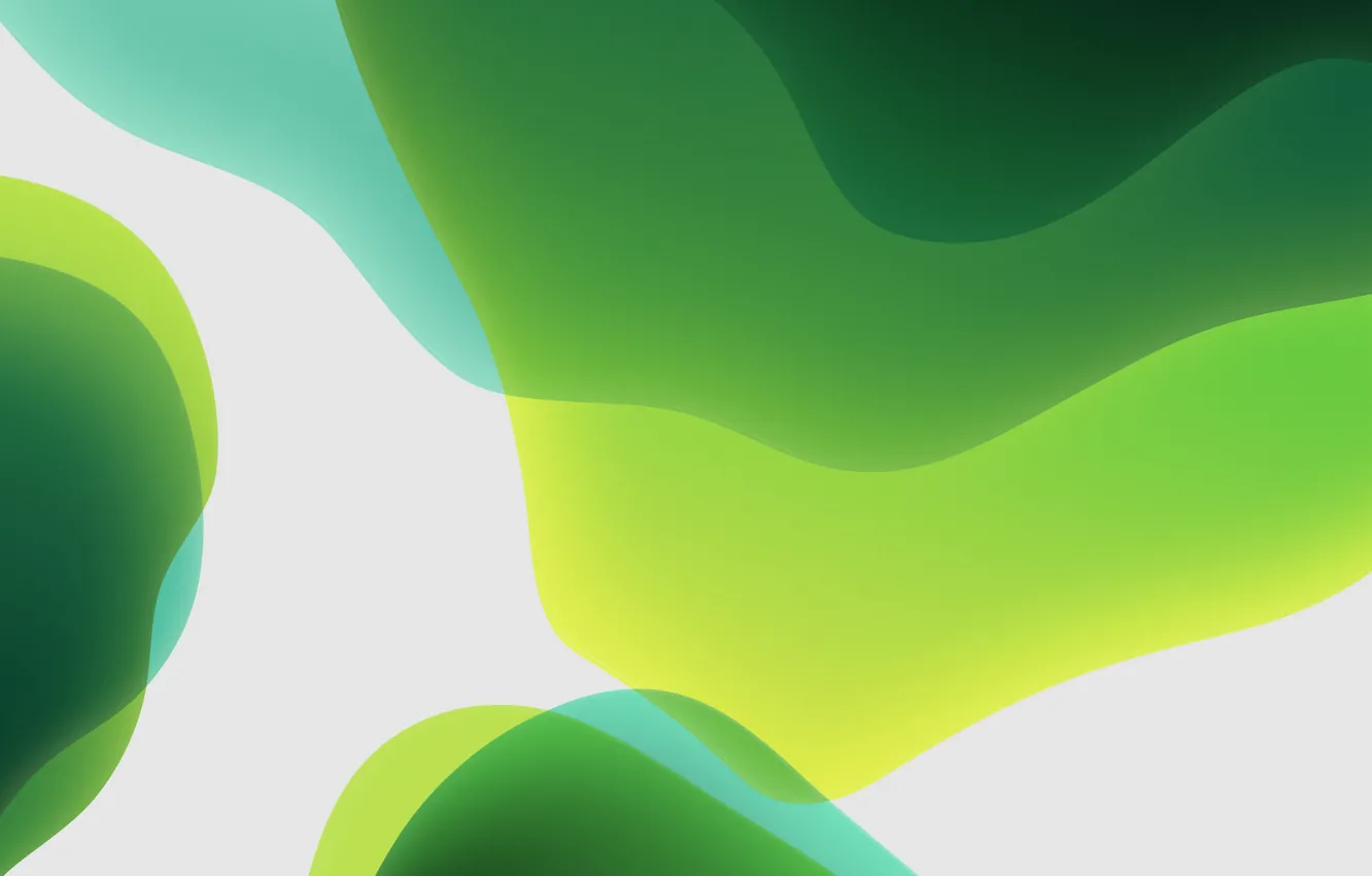 Photo wallpaper green, white, background, iOS 13