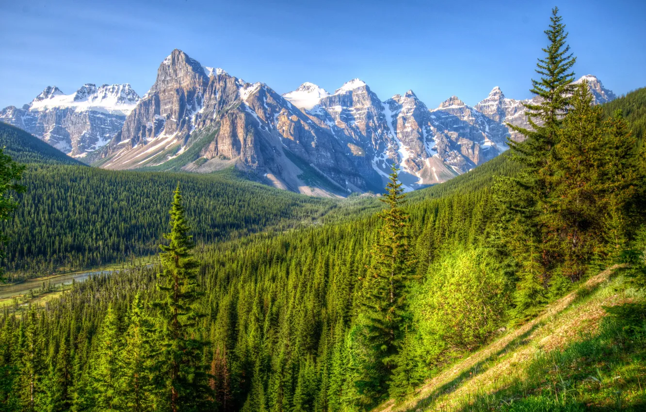 Photo wallpaper forest, landscape, mountains, nature, Park, Canada, Banff