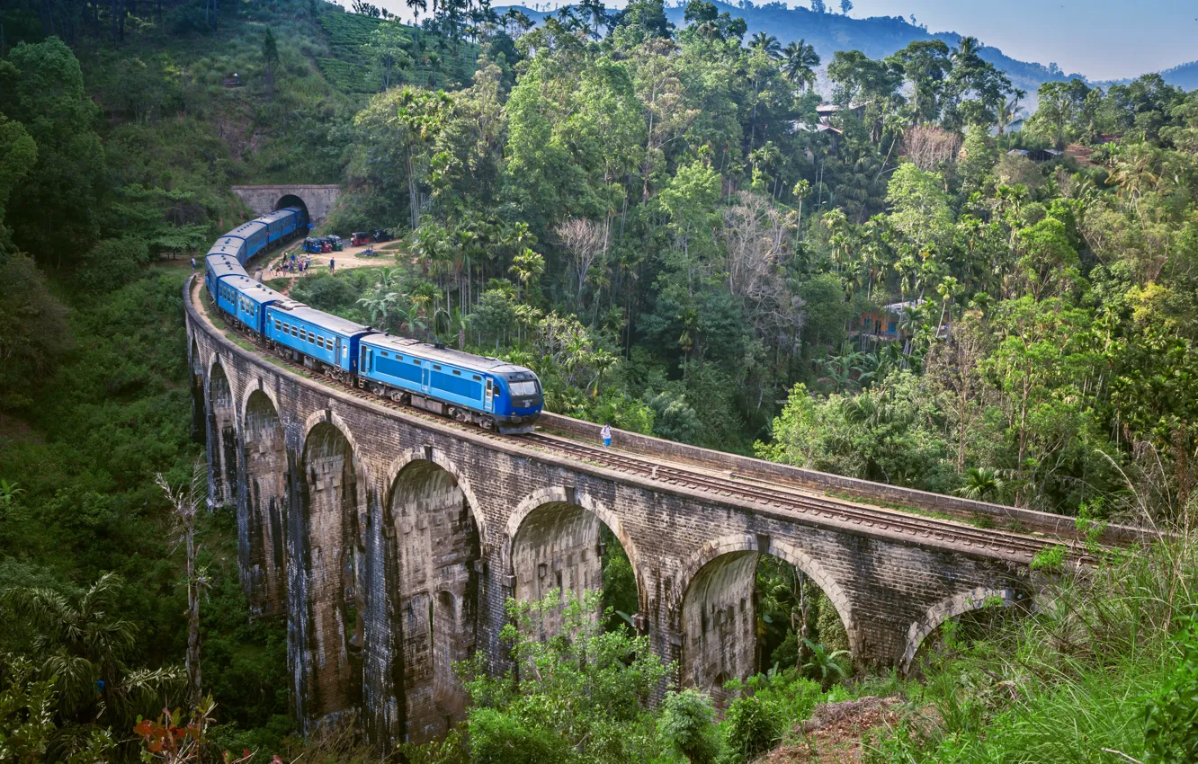 Photo wallpaper trees, mountains, bridge, nature, train, jungle, railroad, railway