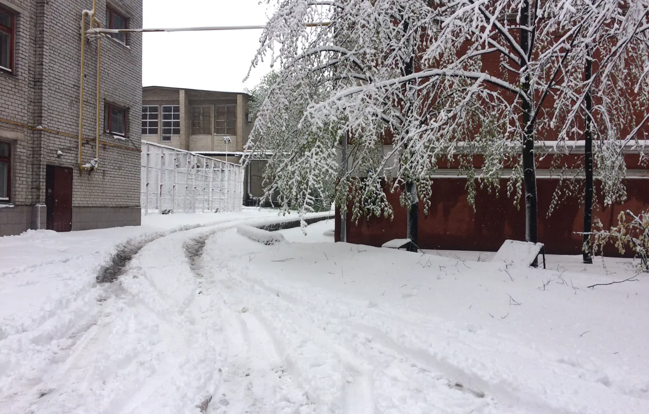 Photo wallpaper snow, April, spring 2017