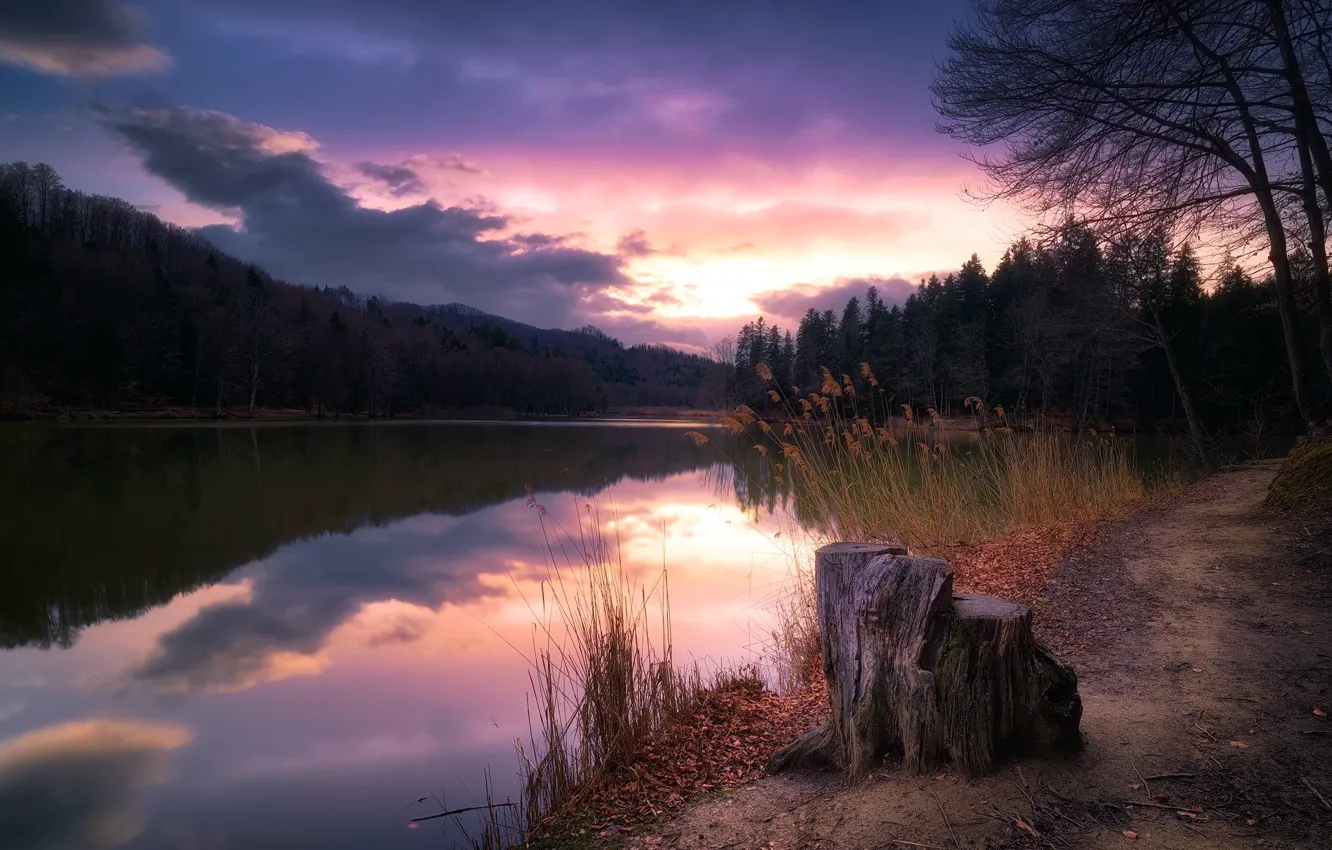 Photo wallpaper sunset, lake, stump