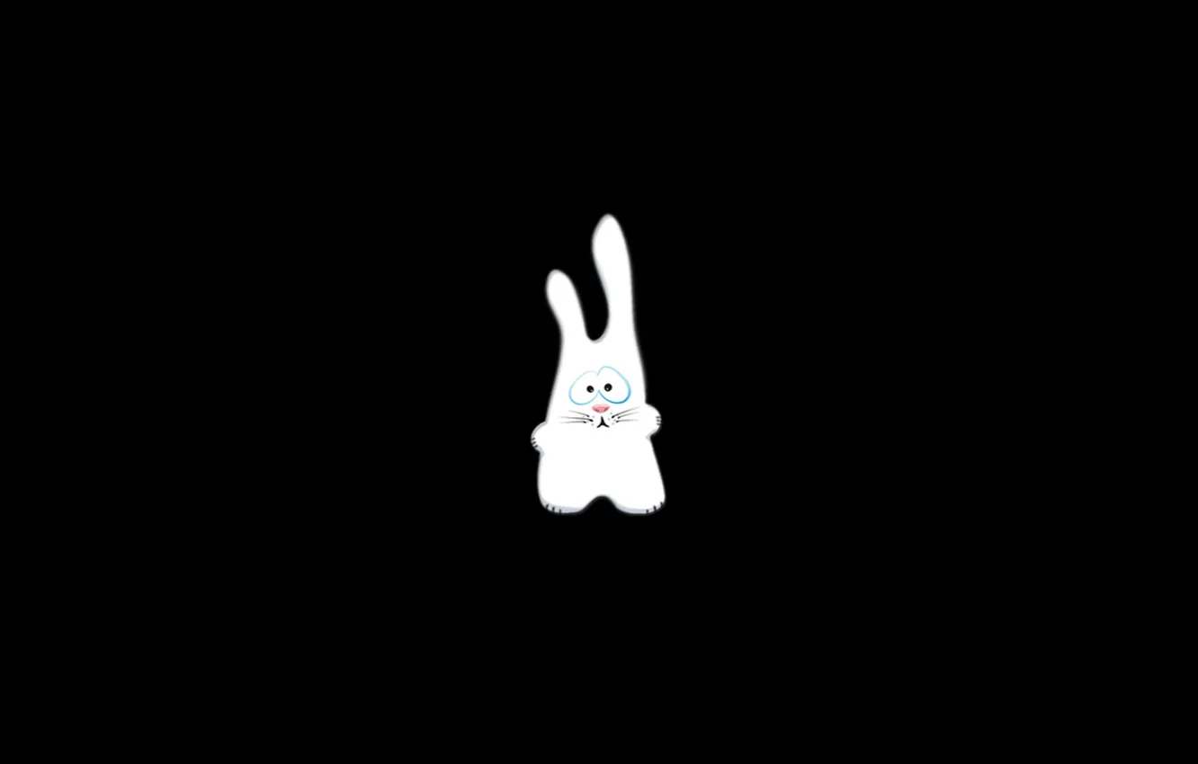 Photo wallpaper rabbit, black background, Bunny, Bunny, hd Wallpapers, original, Wallpaper for desktop, Wallpaper Bunny