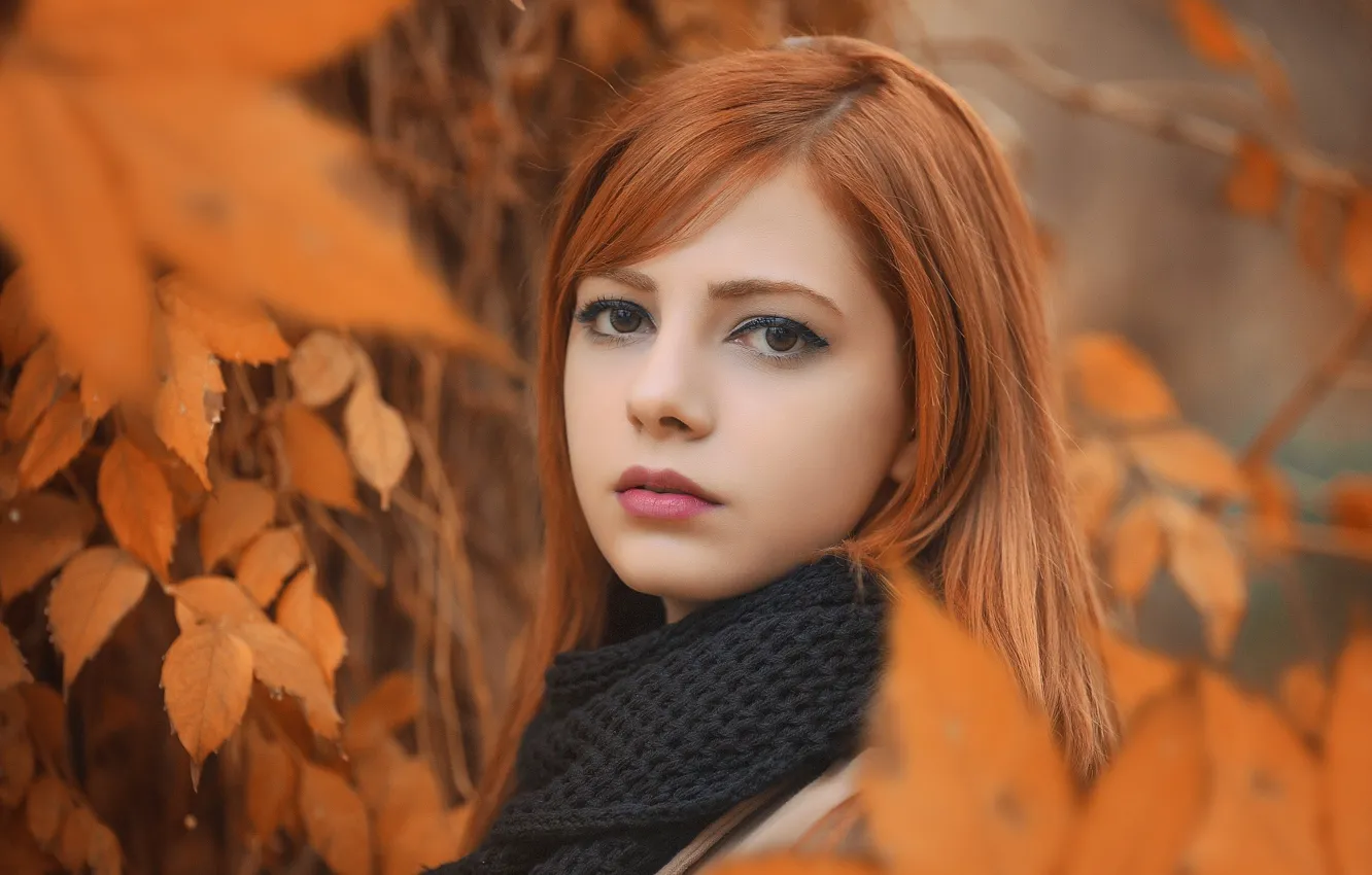 Photo wallpaper autumn, leaves, girl, branches, nature, model, portrait, makeup