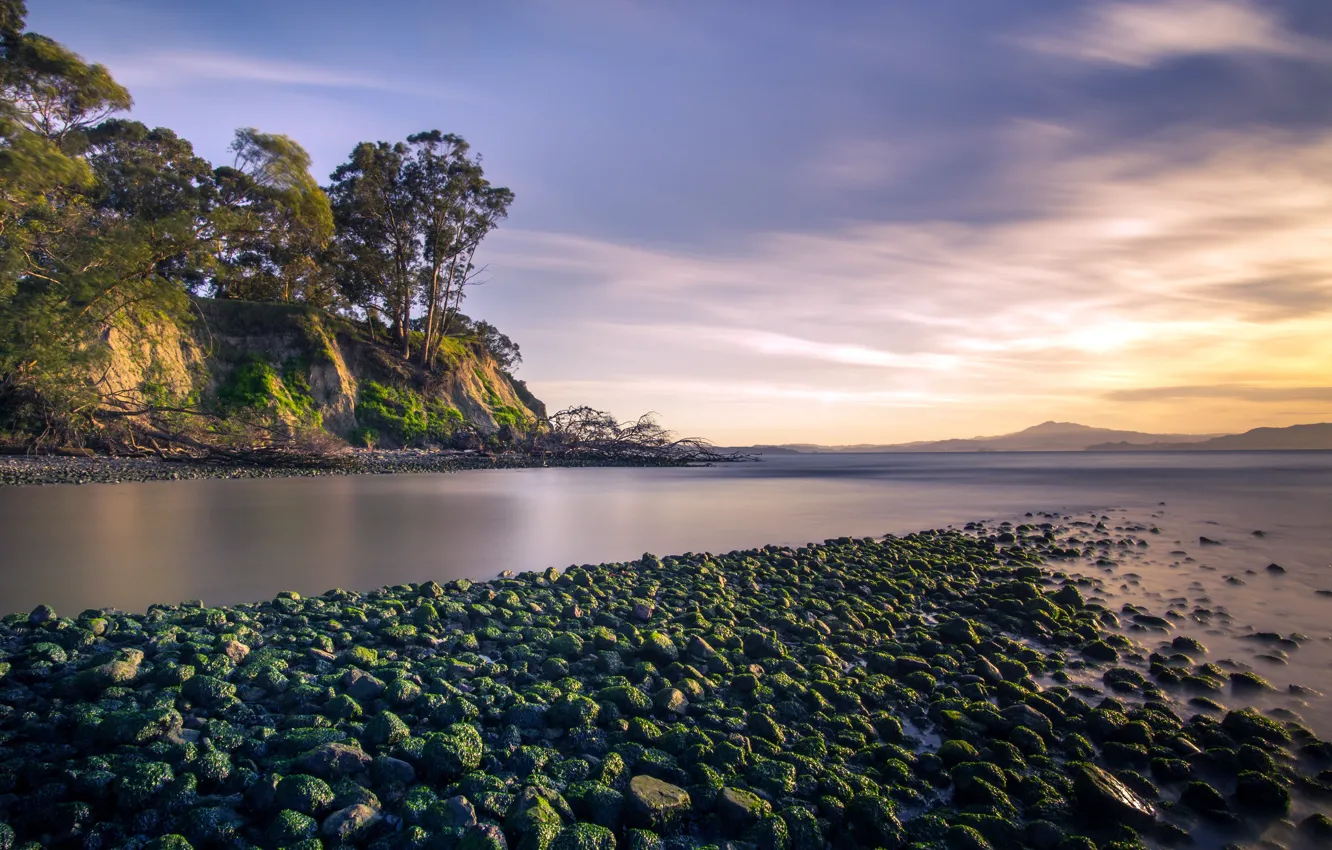 Photo wallpaper nature, shore, morning