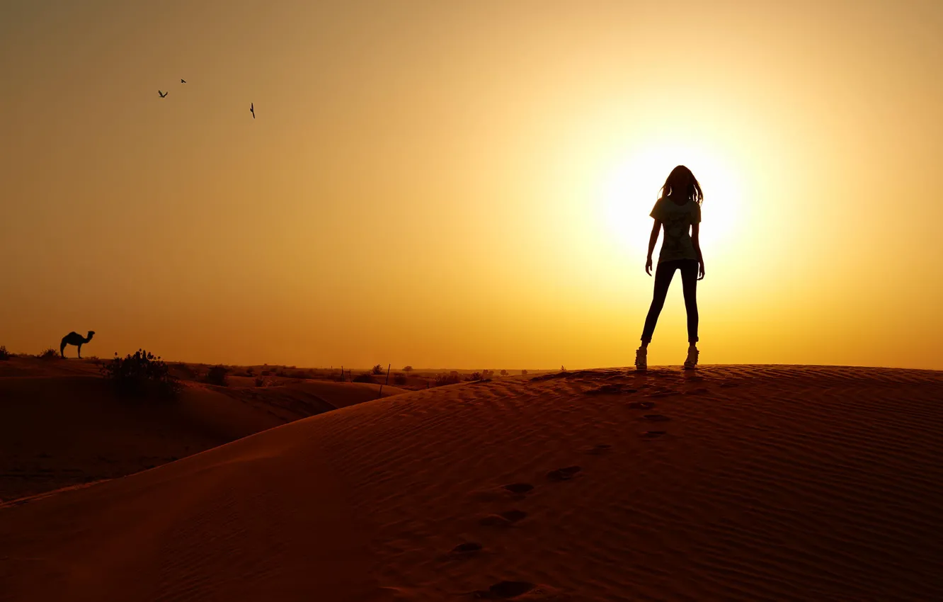 Photo wallpaper girl, sunset, the dunes, desert, slim, silhouette, camel, photographer