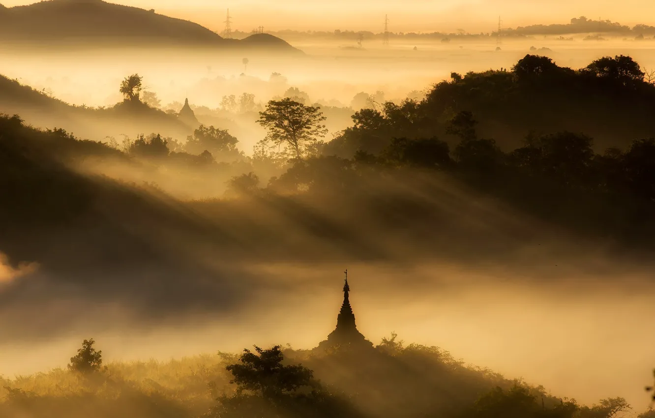 Photo wallpaper forest, dawn, pagoda, Myanmar