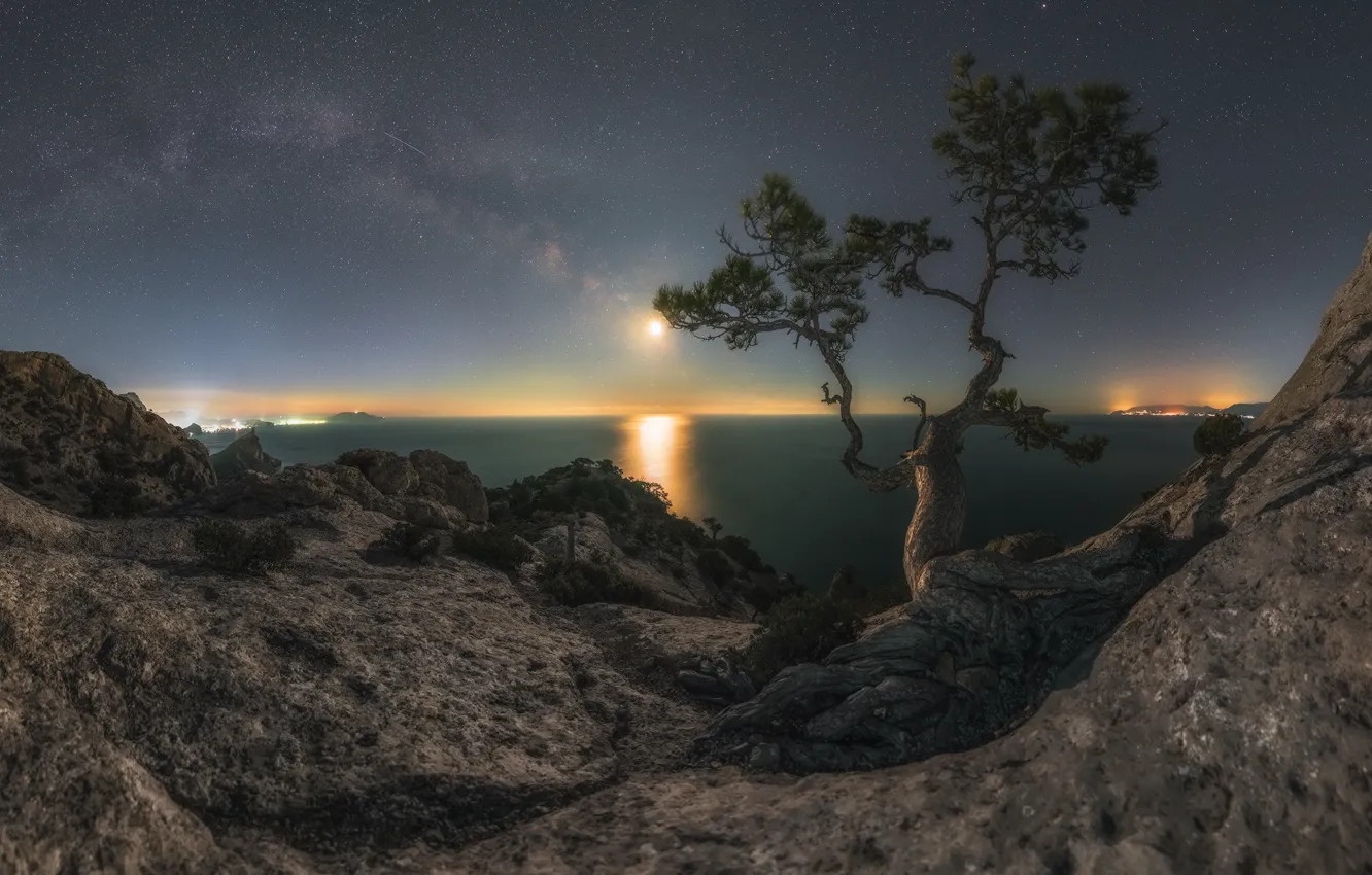 Photo wallpaper sea, trees, landscape, mountains, night, nature, rocks, the moon