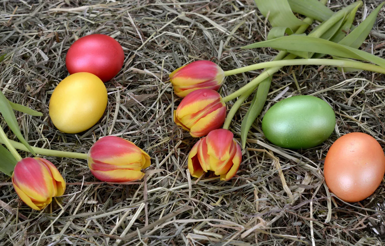 Photo wallpaper flowers, eggs, Easter, hay, tulips, straw