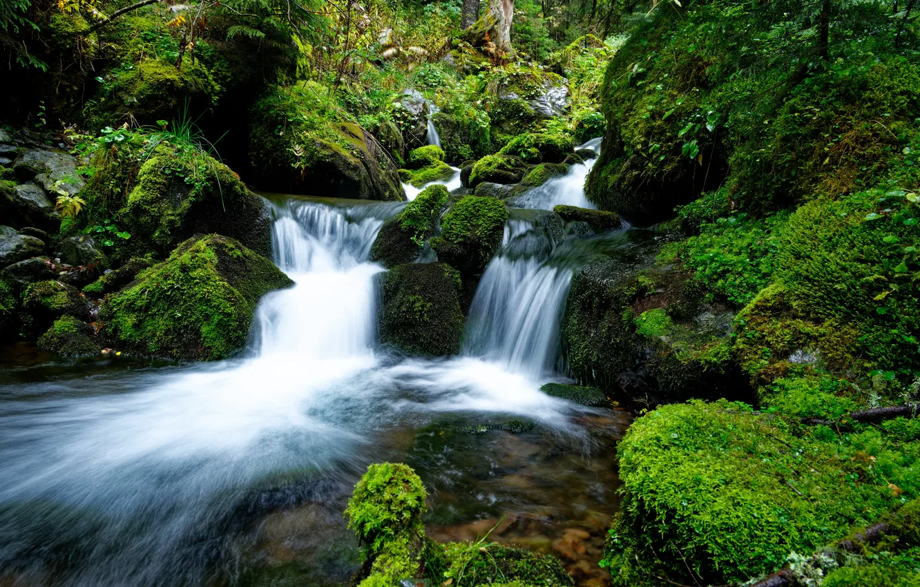 Photo wallpaper nature, river, stones, waterfall, moss