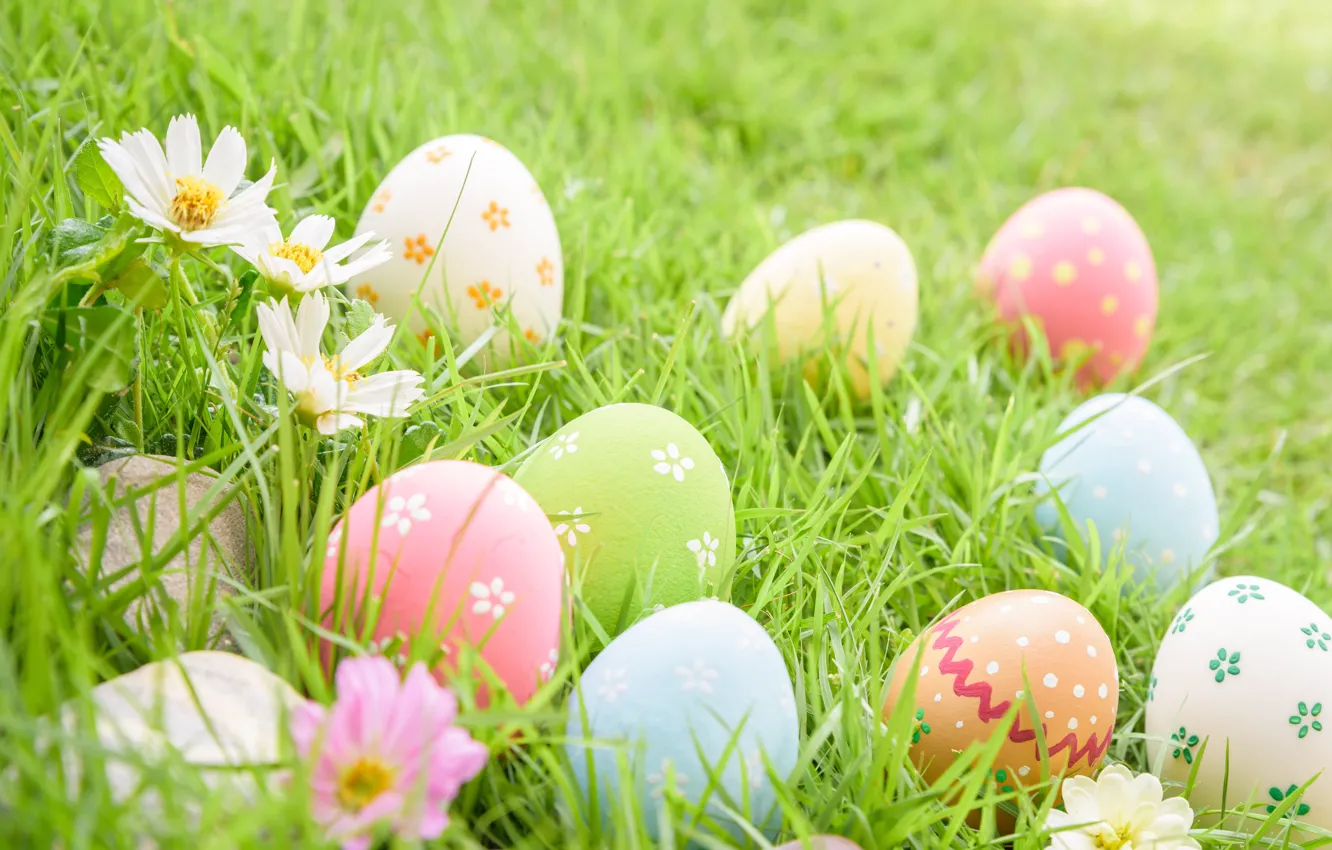 Photo wallpaper grass, flowers, eggs, Easter, flowers, spring, Easter, eggs