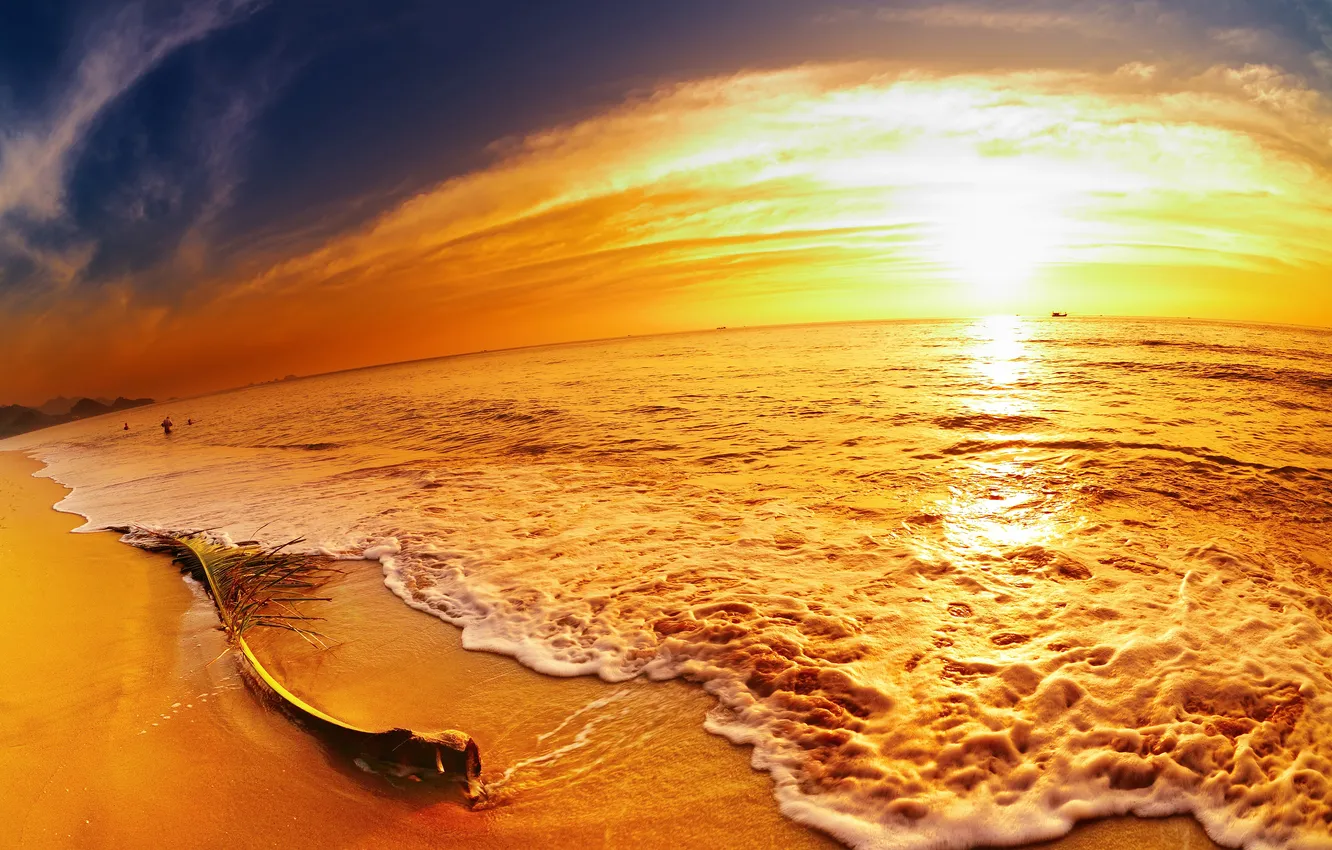 Photo wallpaper sand, sea, the sky, sunset, people, branch, surf, brightness