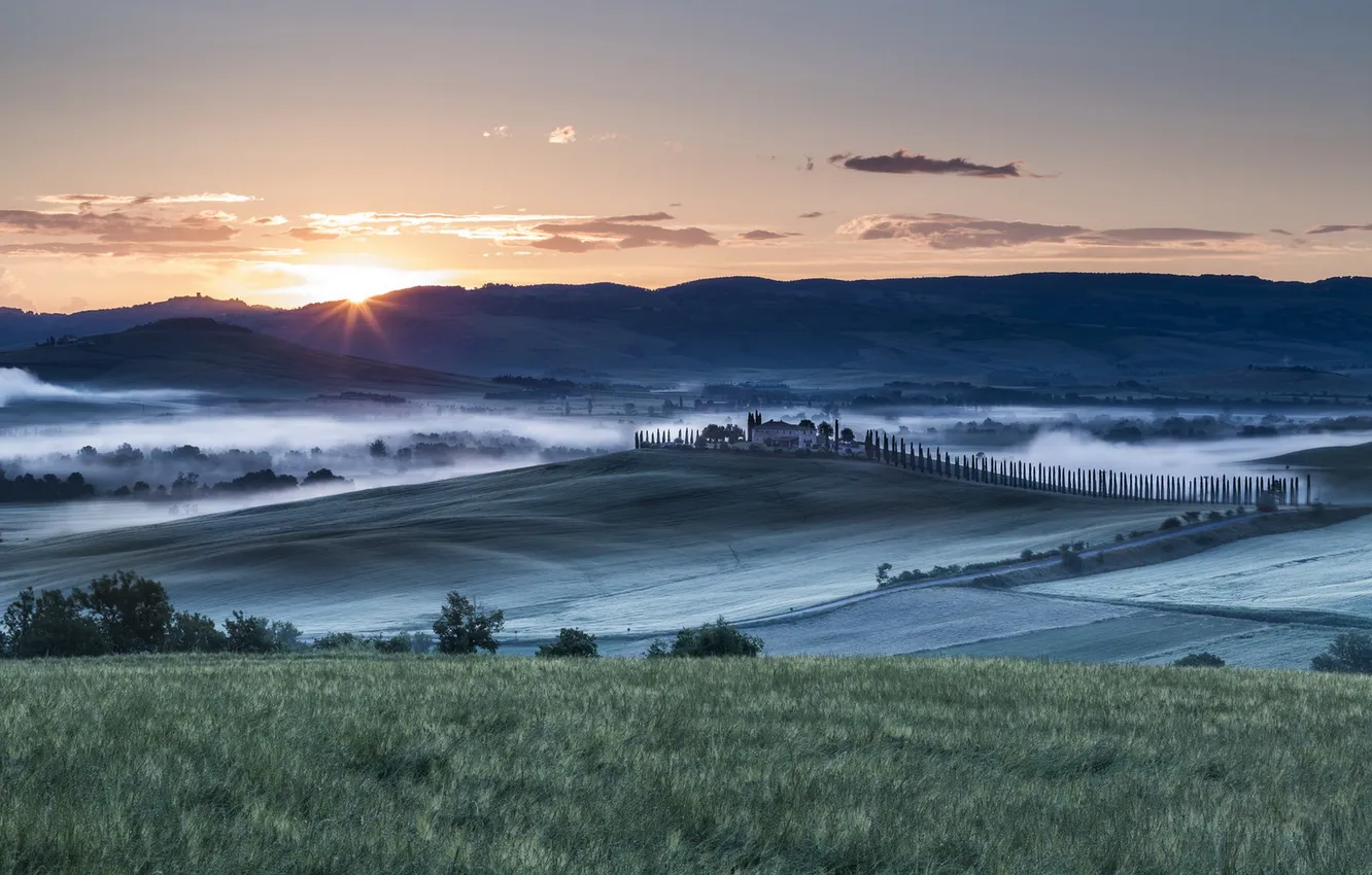 Photo wallpaper field, landscape, fog, Tuscany Morning