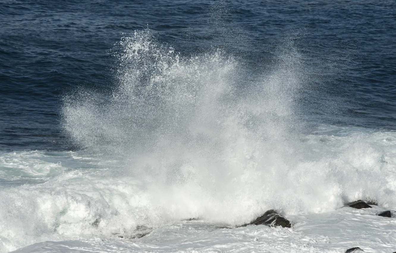 Photo wallpaper sea, wave, beach, summer, summer, beach, sea, ocean