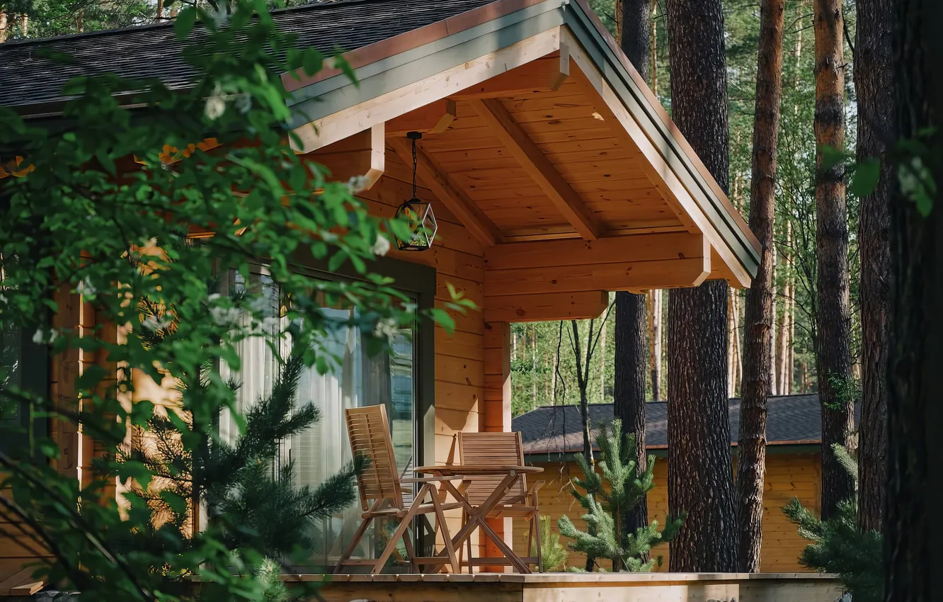Photo wallpaper forest, nature, home, house, forest, nature