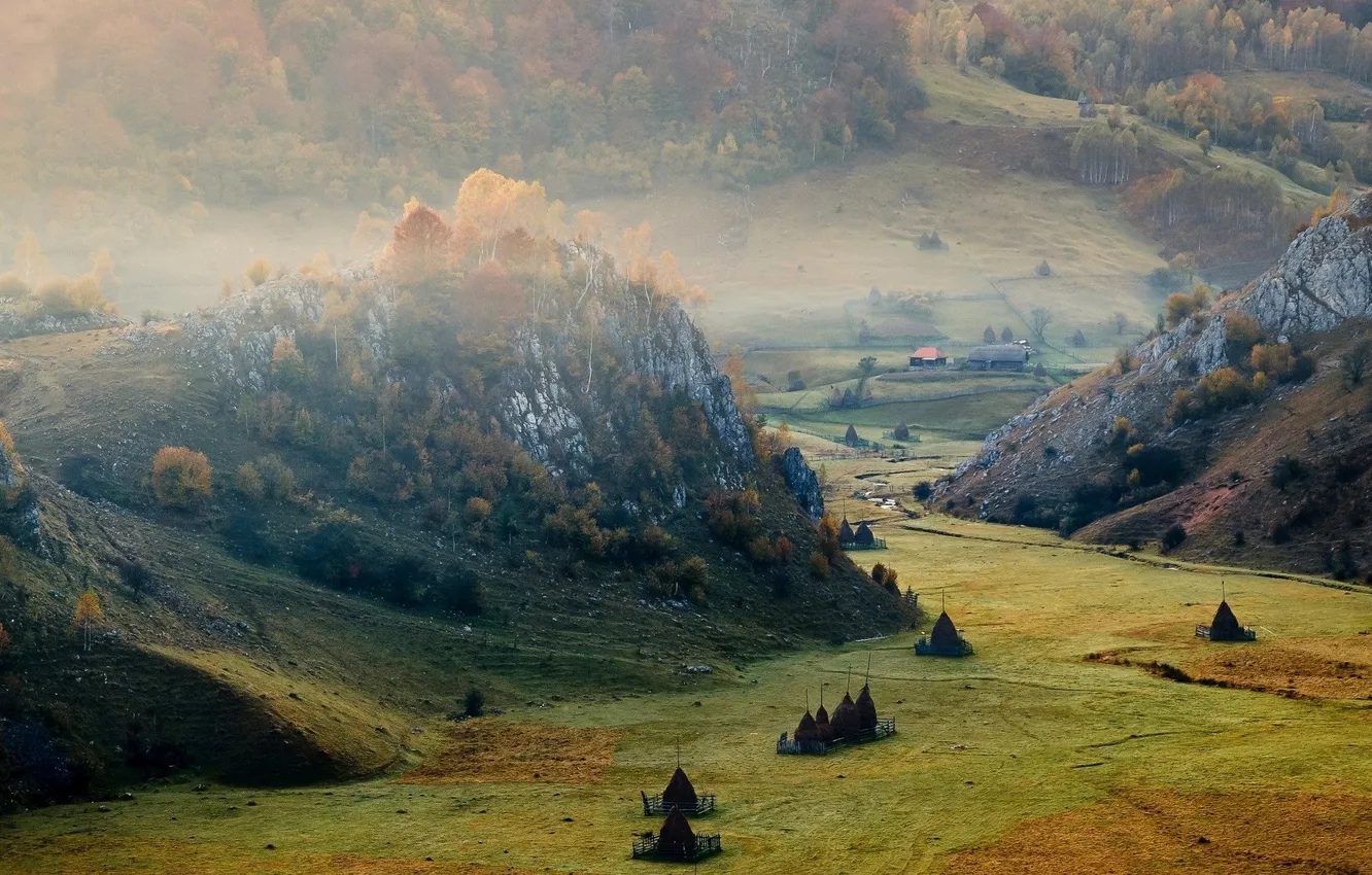 Photo wallpaper forest, trees, landscape, mountains, nature, fog, rocks, height