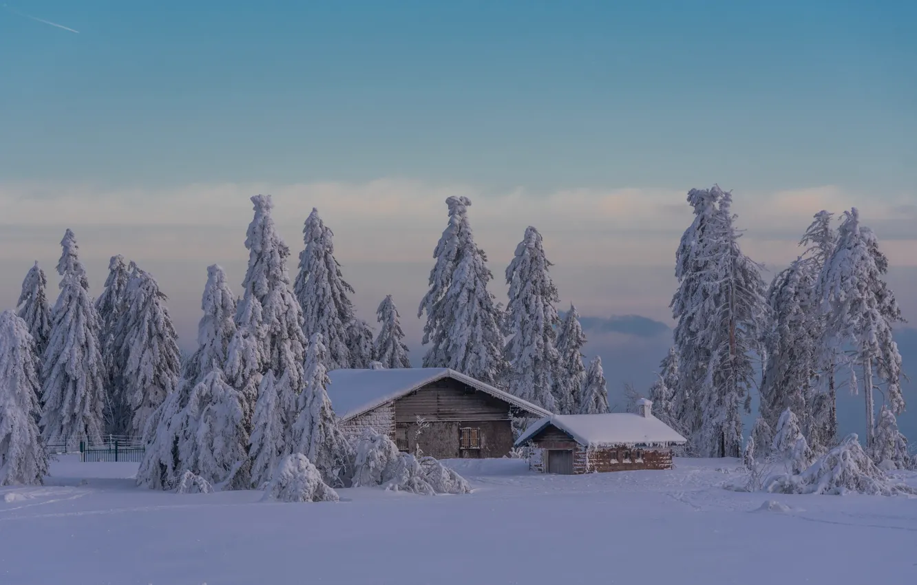 Photo wallpaper winter, snow, trees, landscape, nature, house, ate, the barn