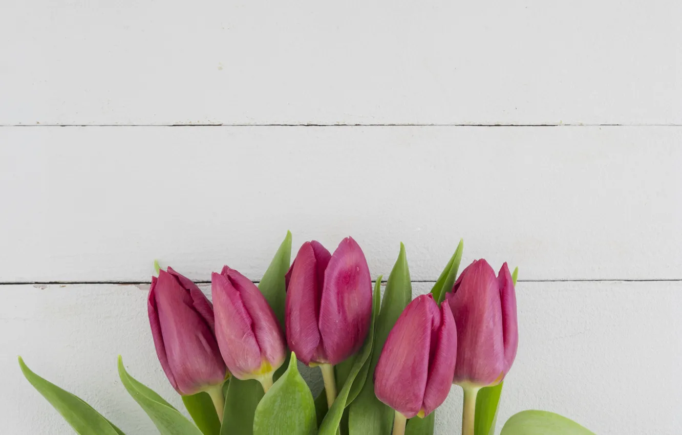 Photo wallpaper bouquet, tulips, pink
