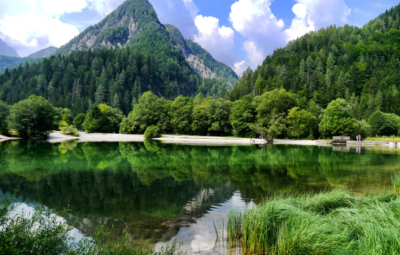 Photo wallpaper forest, grass, clouds, trees, mountains, lake, Slovenia, Kranjska Gora