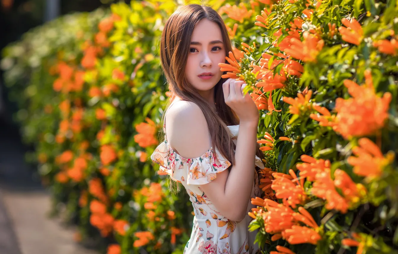 Photo wallpaper look, dress, Asian