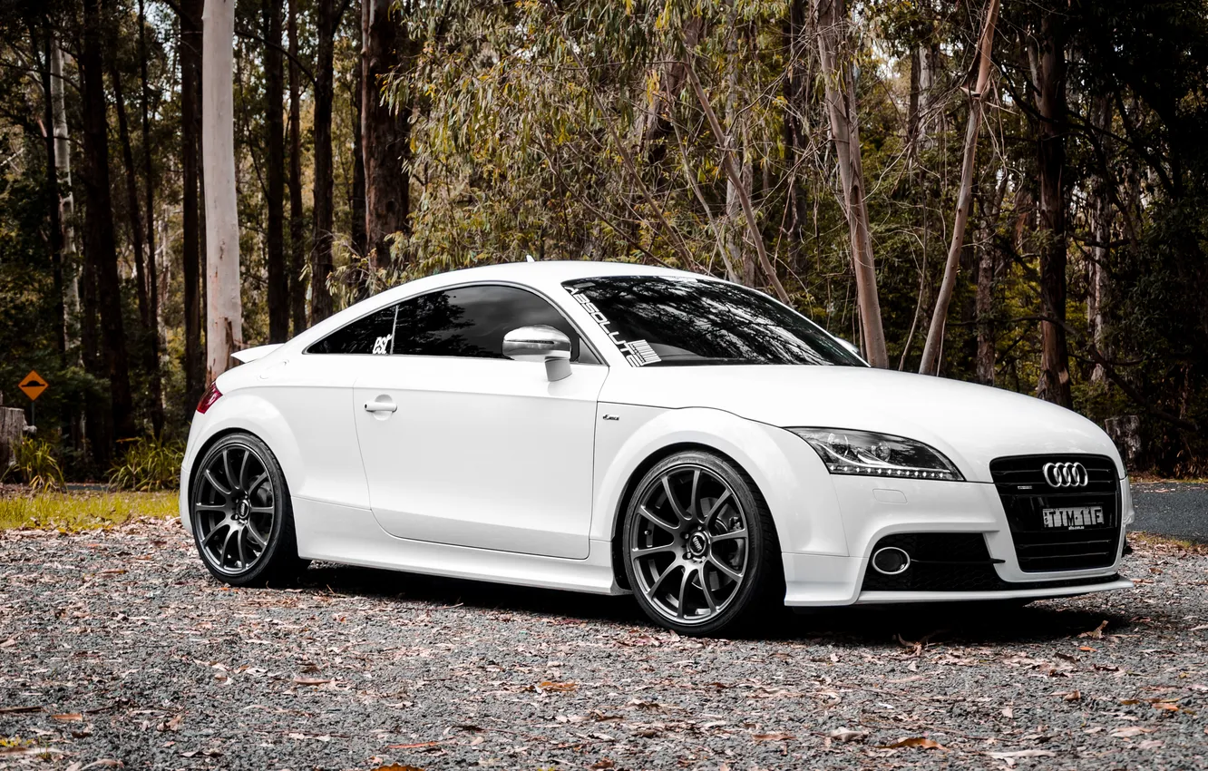 Photo wallpaper white, Audi, Audi, white