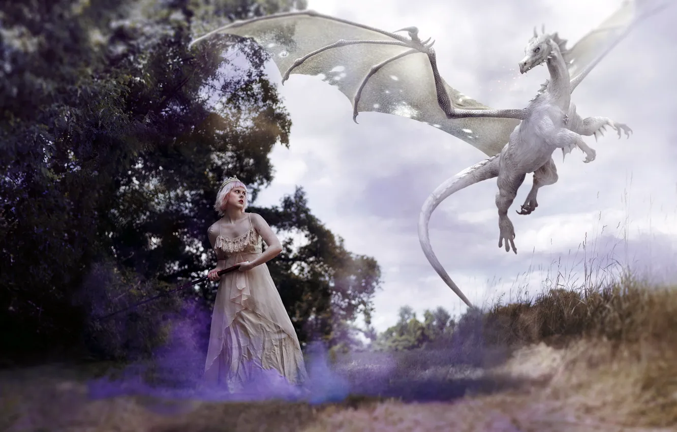 Photo wallpaper girl, background, dragon