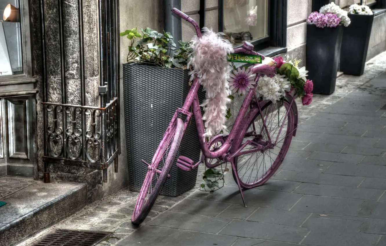 Photo wallpaper bike, house, street