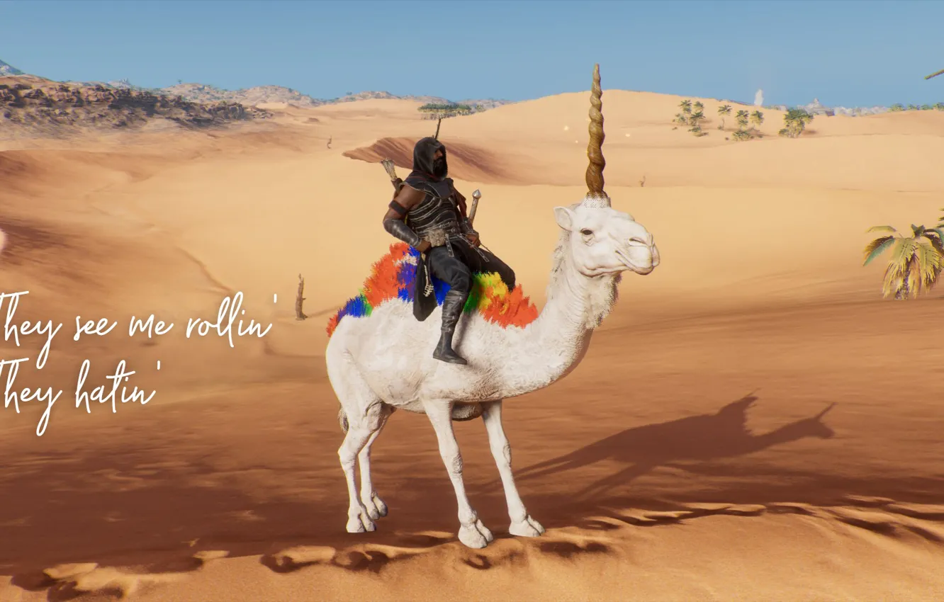 Photo wallpaper funny, rollin, Assassin Creed Origins