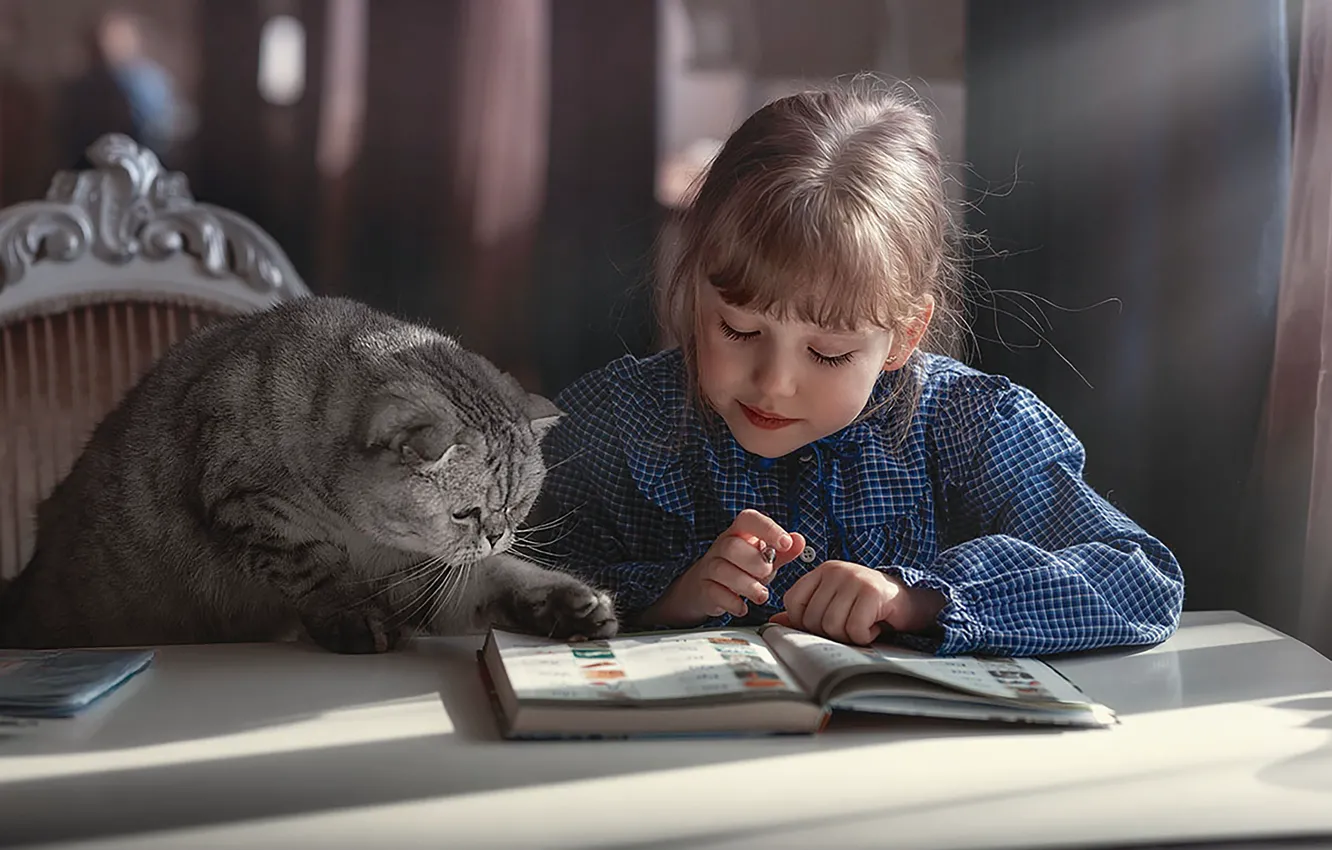 Photo wallpaper cat, the situation, Girl, homework, photographer Marina Linchuk
