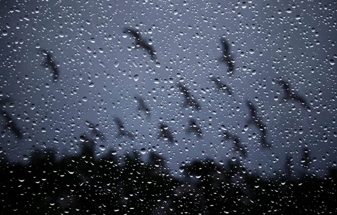 Photo wallpaper glass, drops, night, rain, window, rain drops on glass
